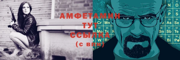 индика Осинники