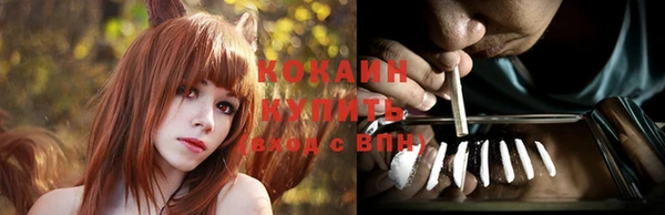 шишки Грязовец