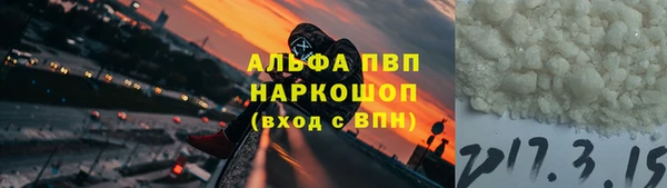 стаф Новодвинск