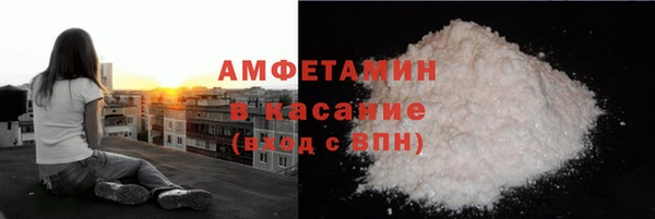 стаф Новодвинск