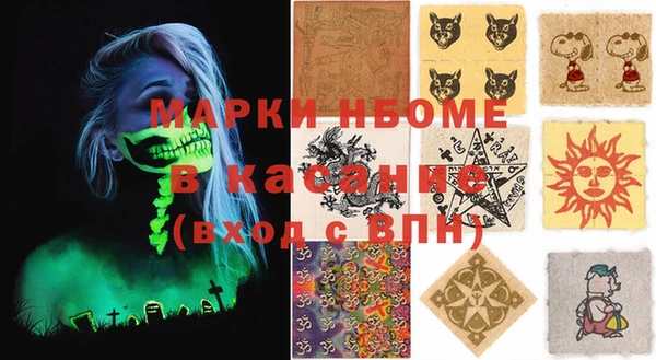 стаф Новодвинск