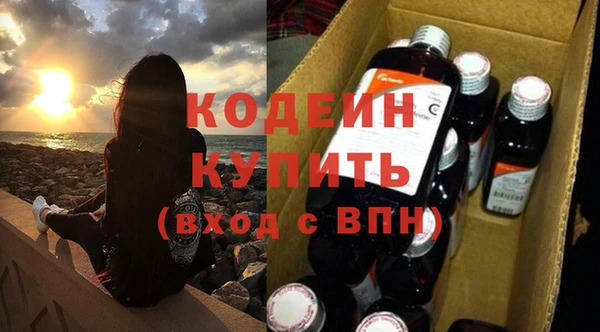 индика Осинники