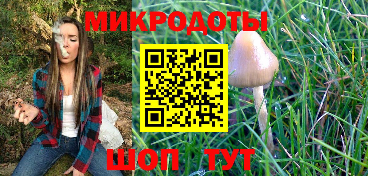 Псилоцибиновые грибы мицелий  Вход с VPN  Галлюциногенные грибы мицелий  Брянск 