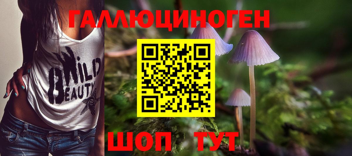 Псилоцибиновые грибы MAGIC MUSHROOMS Брянск